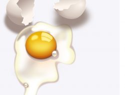 Manfaat Telur Bagi Kesehatan Tubuh yang Jarang Diketahui Orang