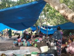 Antisipasi Gempa Susulan, Ratusan Warga Desa Pulo Madu Kabupaten Selayar Pilih Mengungsi