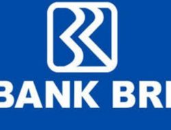 Bank Rakyat Indonesia Buka Lowongan Kerja Semua Jurusan