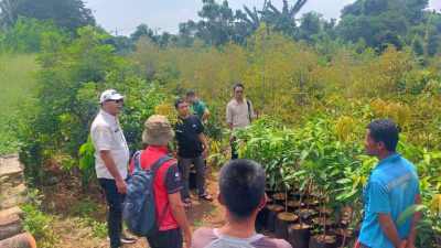 Pemda Bulukumba Gagas Pendidikan Back To Nature di Sekolah