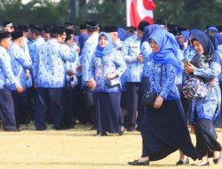 Batal PHK Massal, Honorer akan di Alihkan Status Menjadi PPPK Paruh Waktu